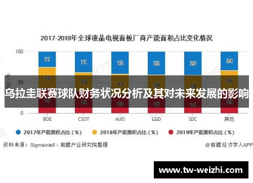 乌拉圭联赛球队财务状况分析及其对未来发展的影响